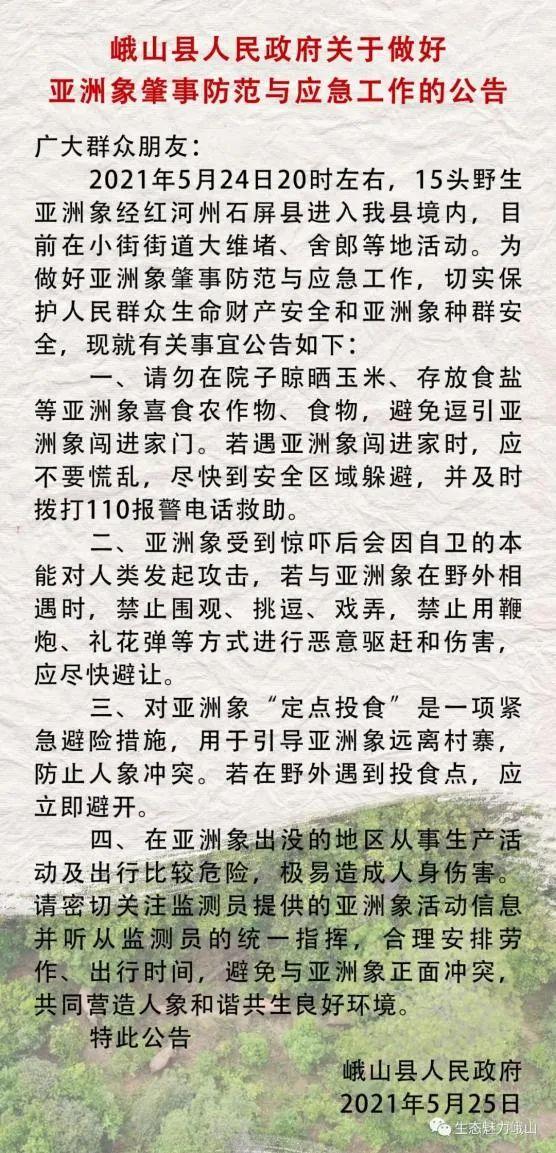 【gif动图】15头亚洲象进入云南峨山县城，正向北活动