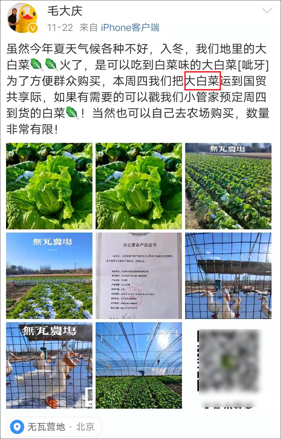 联合办公第一股暴跌90%，前万科副总裁开包子铺