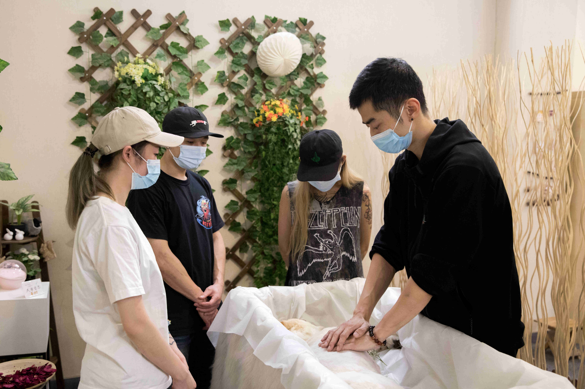 12万医疗费救不回我的小猫，它值得一场体面的葬礼