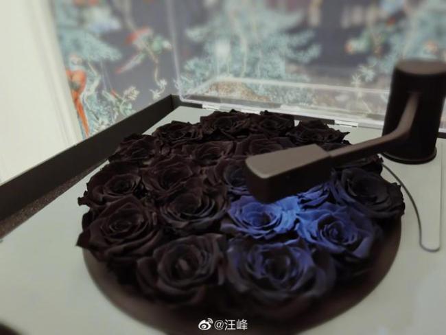 汪峰晒全家合照为自己庆生 章子怡小苹果醒醒均出镜