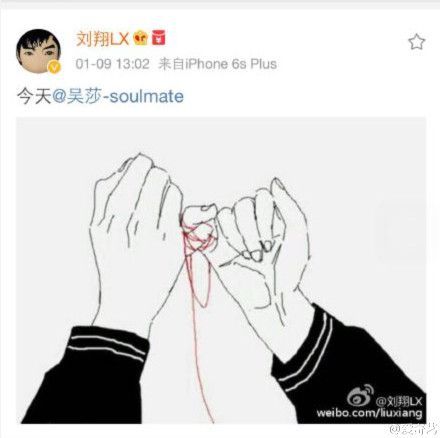 刘翔38岁生日罕晒夫妻合照 与吴莎上演甜蜜锁喉杀