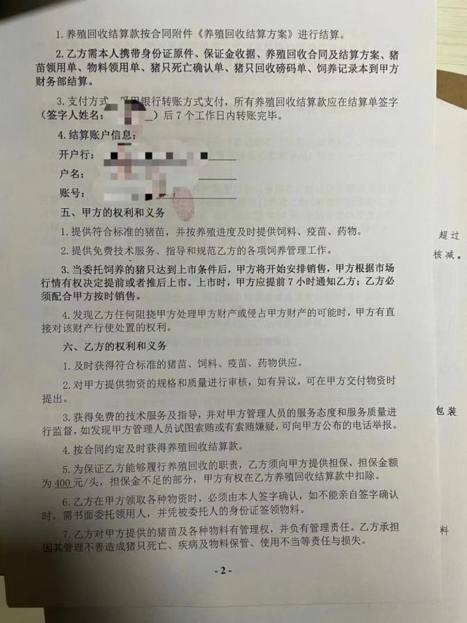 一个正邦代养户决定等猪饿死