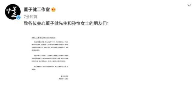 董子健孙怡离婚 孙怡曾称：嫁董子健只为感情