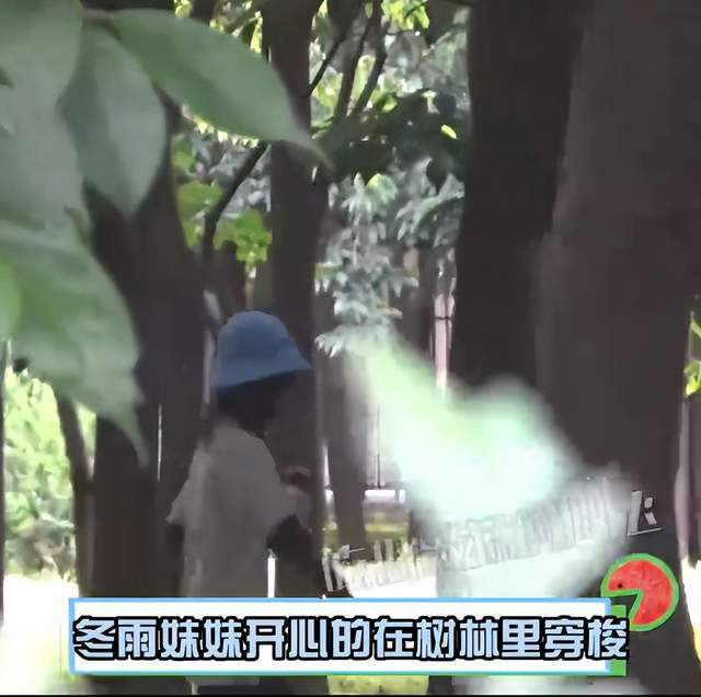 30岁周冬雨携爸妈逛公园 与继父抓甲虫相处融洽