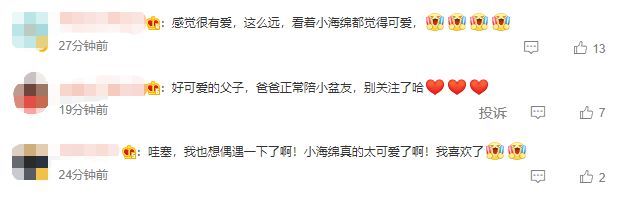 网友偶遇黄晓明带儿子游玩 小海绵高坐爸爸肩头