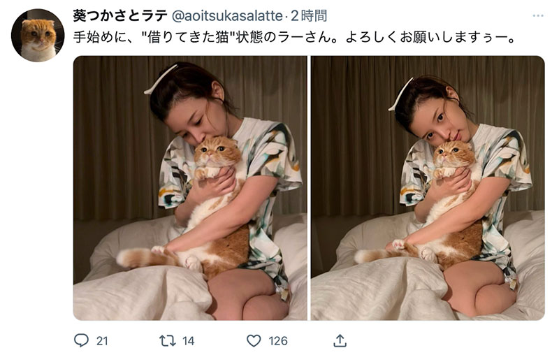 2个月限定！葵つかさ(葵司)twitter复活！