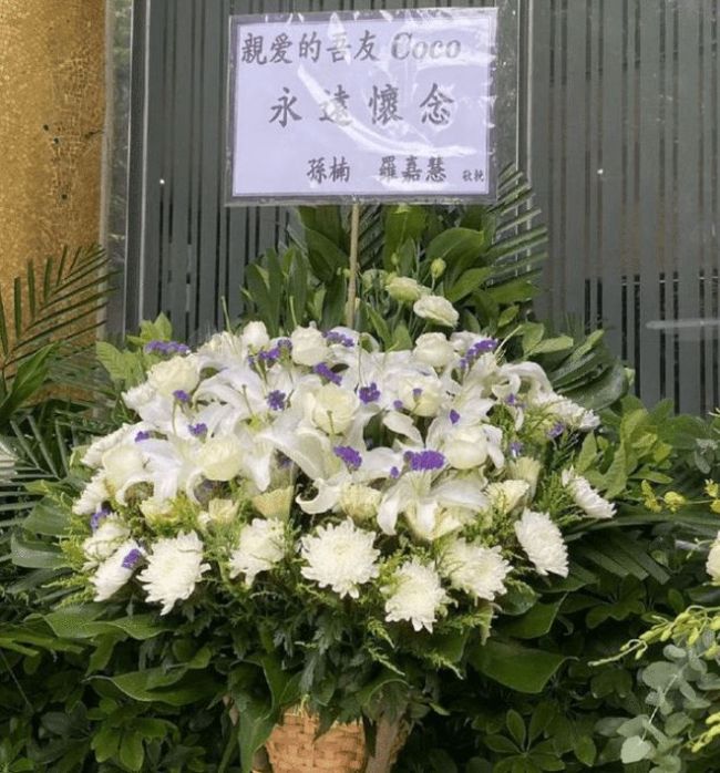 微信截图_20230731155952