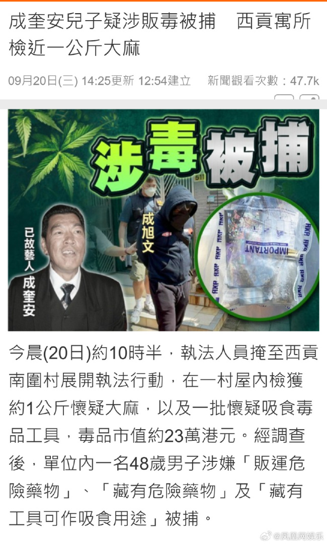 已故男星成奎安儿子因藏毒被捕