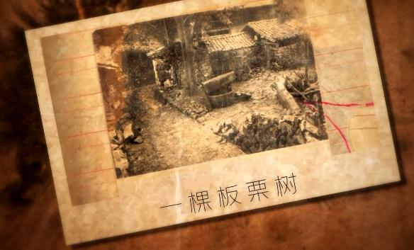 男子为棵板栗树行凶后人间蒸发,警方开棺验尸破获41年前命案……