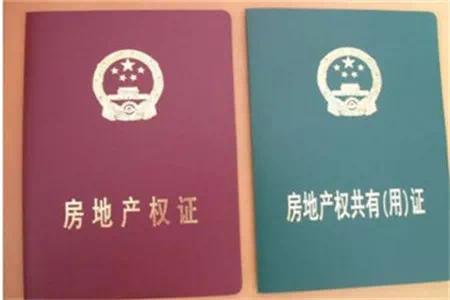 现实版“农夫与蛇”,女子为帮侄女上学把房过户给弟弟,后要求还房遭拒,法院:归还原告