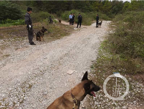江西致3死1伤嫌犯李有华落网 警方:他出来找食时被抓