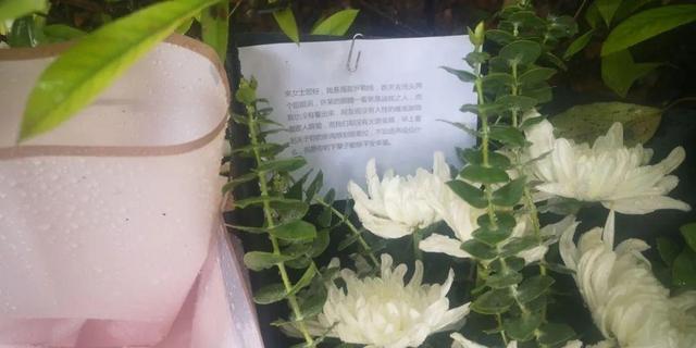 杭州杀妻嫌犯疑似涉及另一桩命案 18年前其前妻闺蜜女儿被杀
