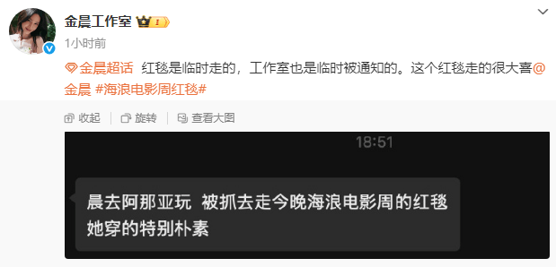 金晨走红毯穿着朴素的原因曝光：临时被抓去走红毯