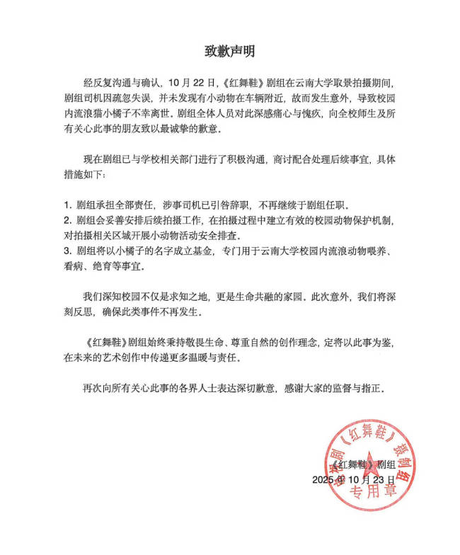 《红舞鞋》剧组回应撞猫事件:涉事司机已引咎辞职